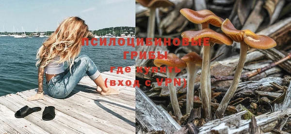 бутират Новозыбков