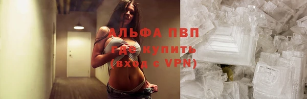 тгк Новокубанск
