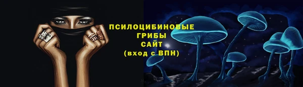 тгк Новокубанск