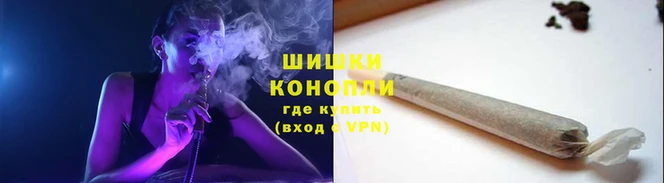 spice Новодвинск
