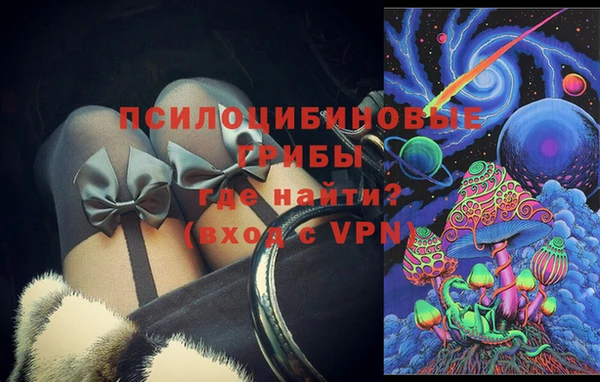 spice Новодвинск