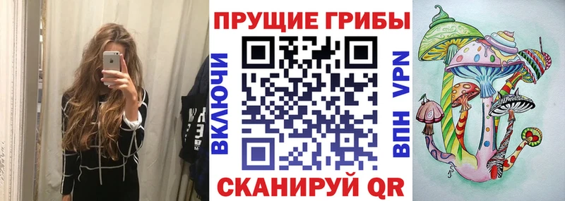 Псилоцибиновые грибы прущие грибы Опочка